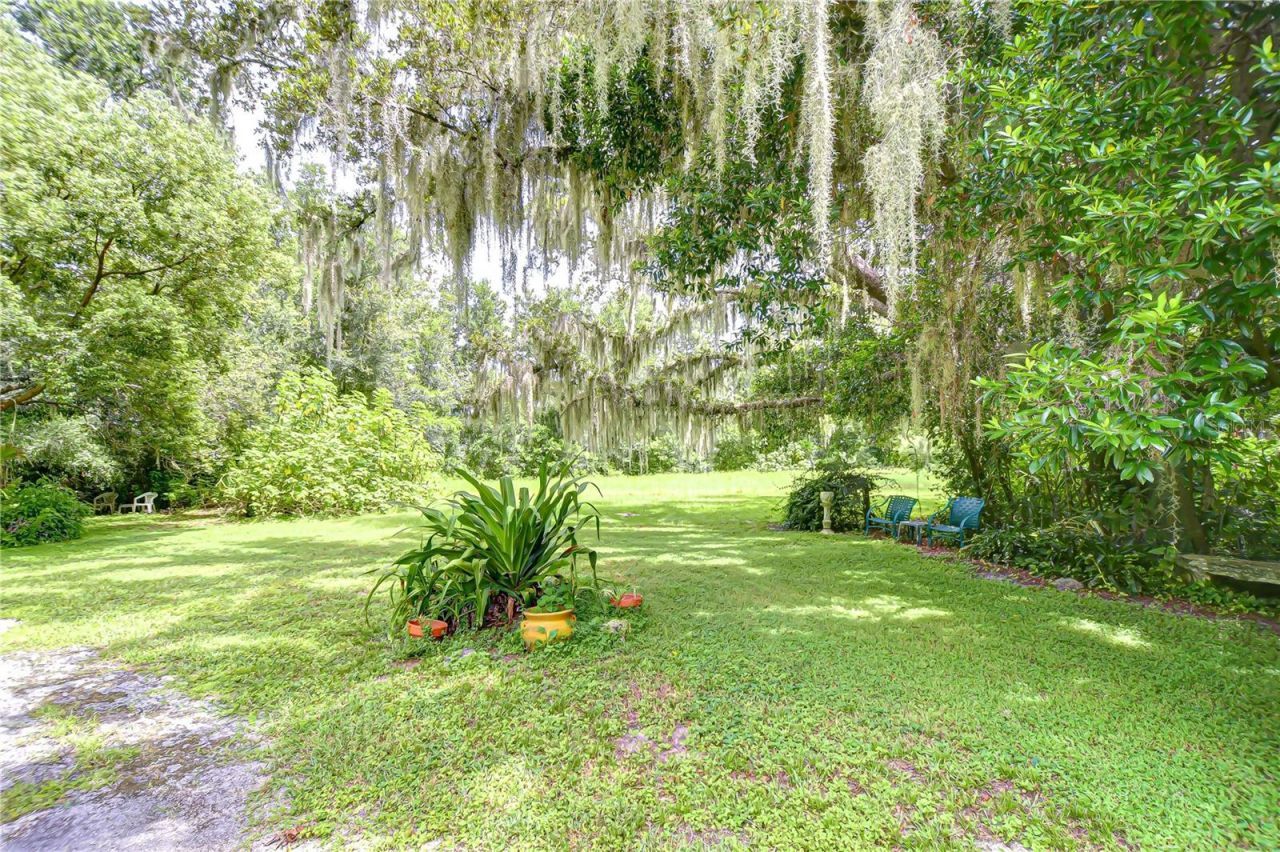 10904 Hackney Drive, Riverview, FL 33578 Photo