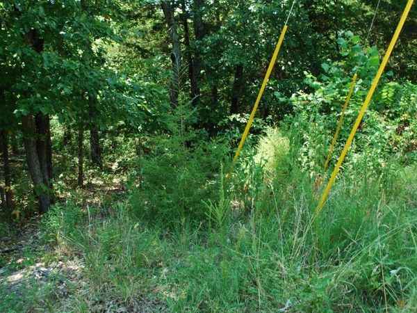 Lot 6 Scalloway Drive, Bella Vista, AR 72715