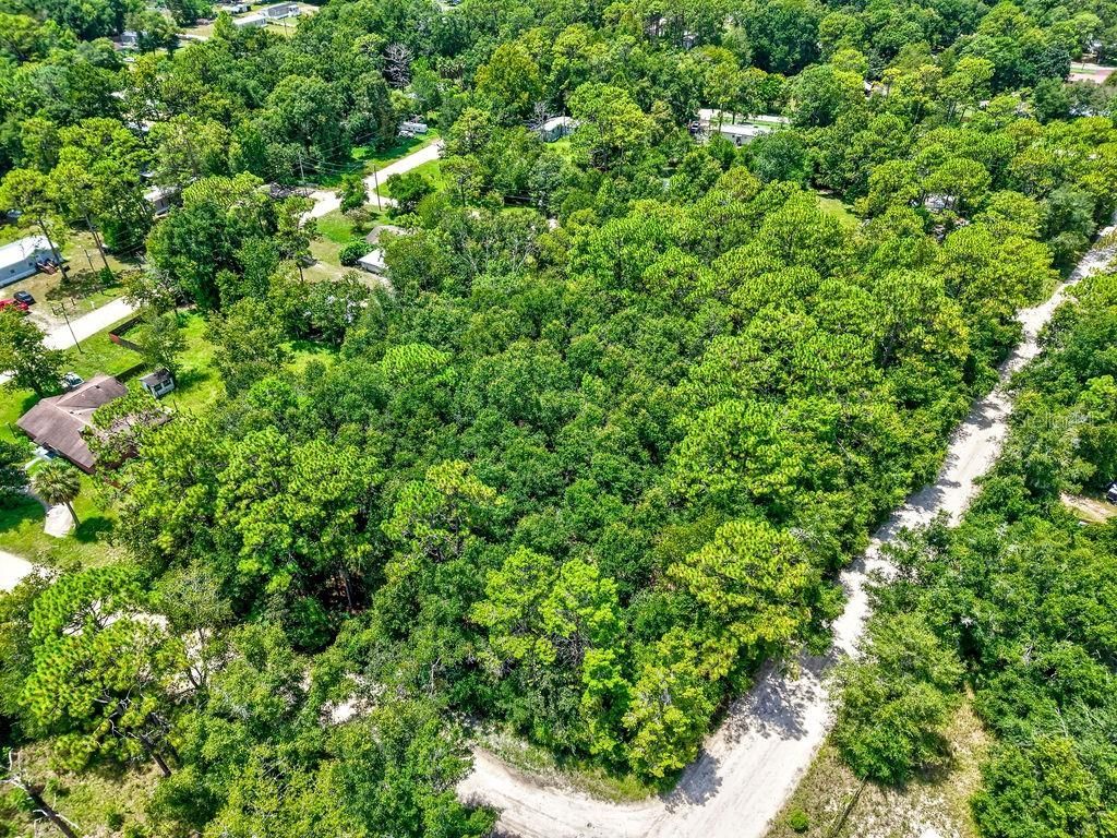 Ne 51st Place, Williston, FL 32696 Photo