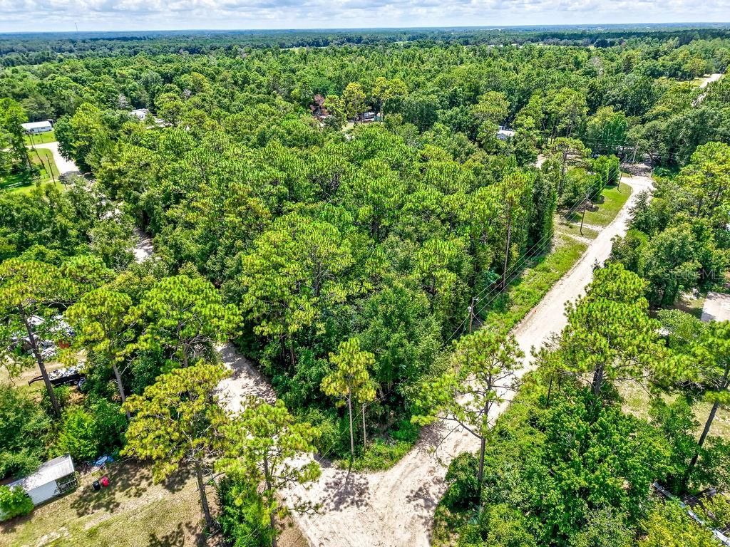 Ne 51st Place, Williston, FL 32696 Photo
