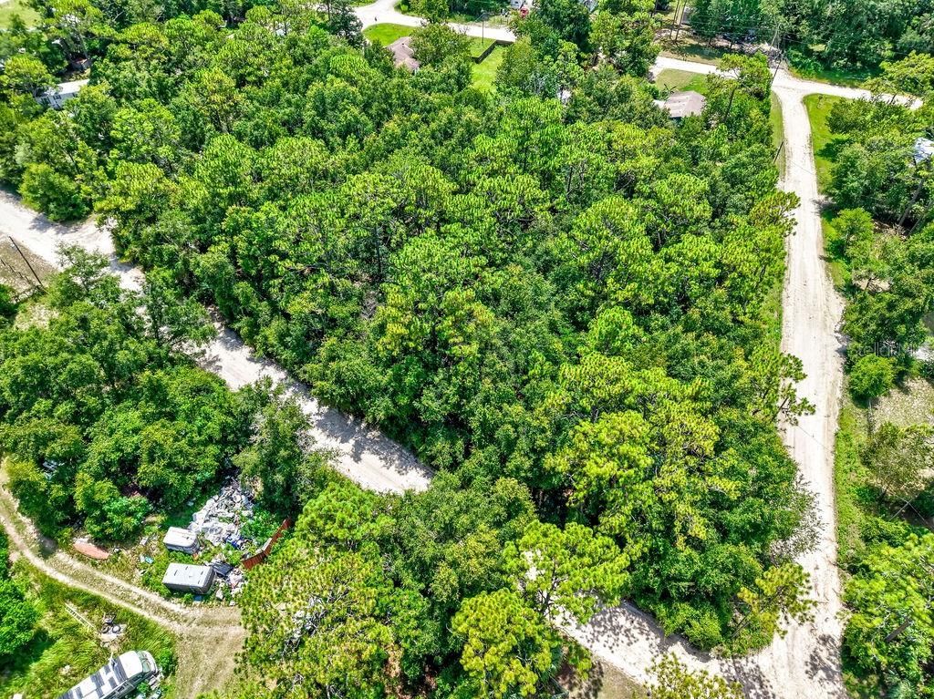 Ne 51st Place, Williston, FL 32696 Photo