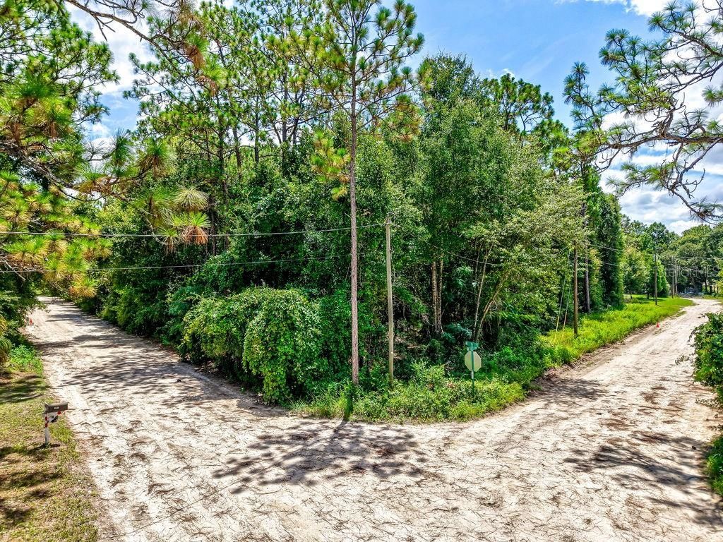 Ne 51st Place, Williston, FL 32696 Photo