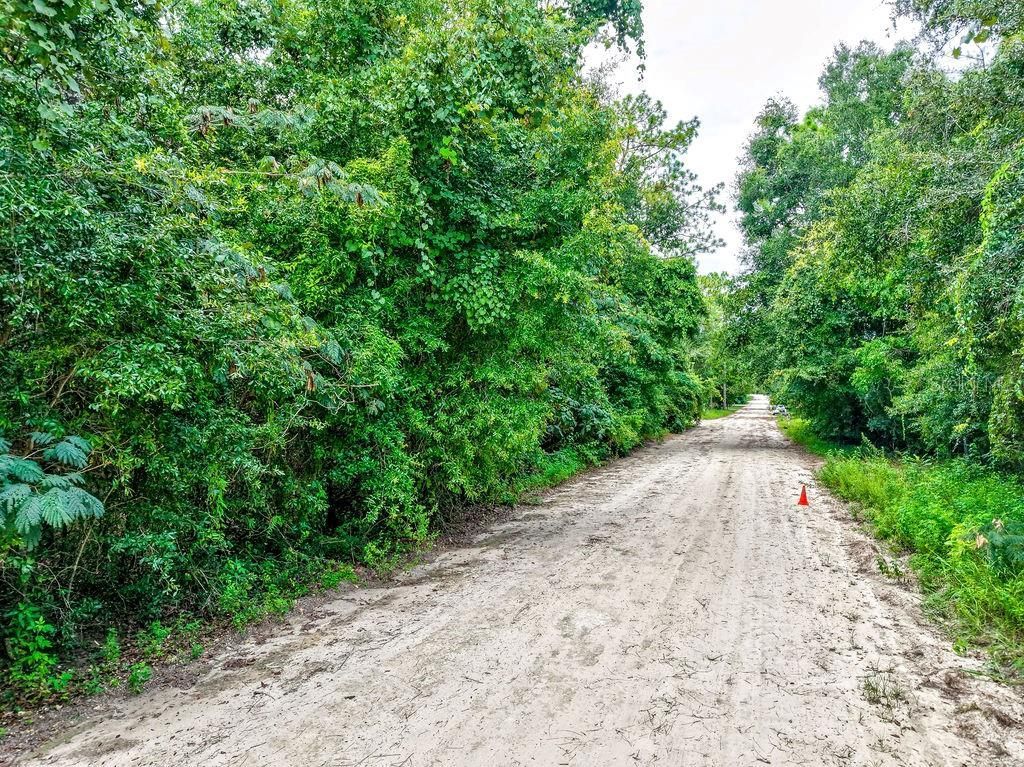 Ne 51st Place, Williston, FL 32696 Photo