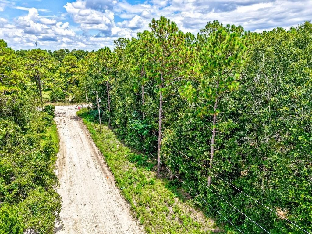 Ne 51st Place, Williston, FL 32696 Photo