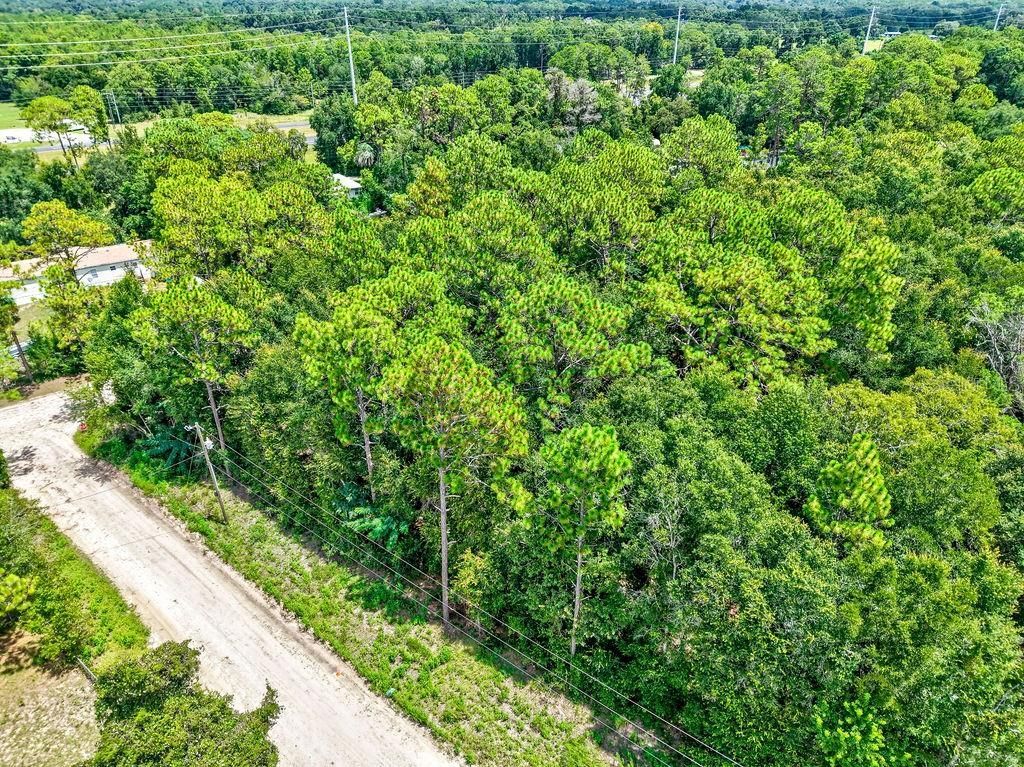 Ne 51st Place, Williston, FL 32696 Photo