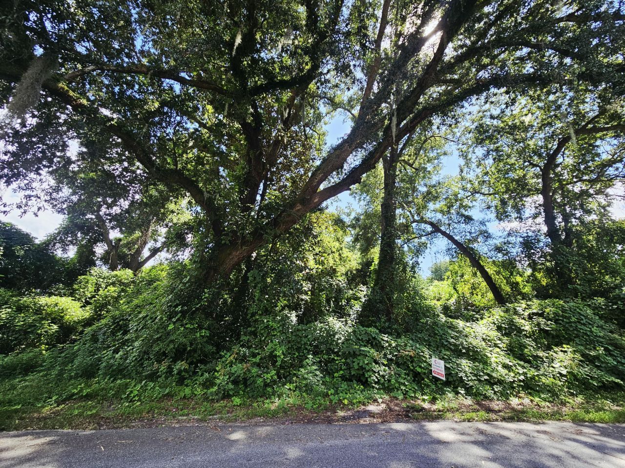 308 Chaplin Street Photo 4