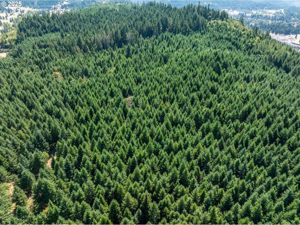 0 2nd ST, Oakridge, OR 97463