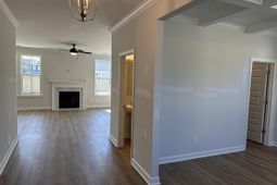 407 Rising Stream Way photo 4