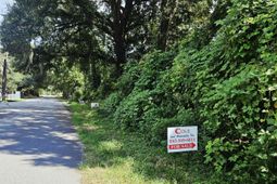 306 Chaplin Street photo 4