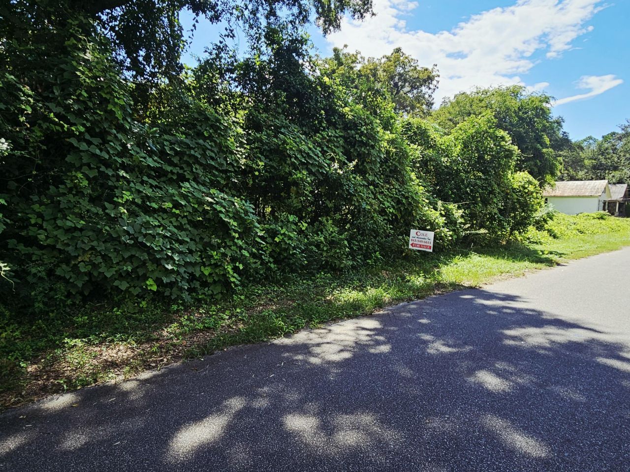 306 Chaplin Street Photo 5