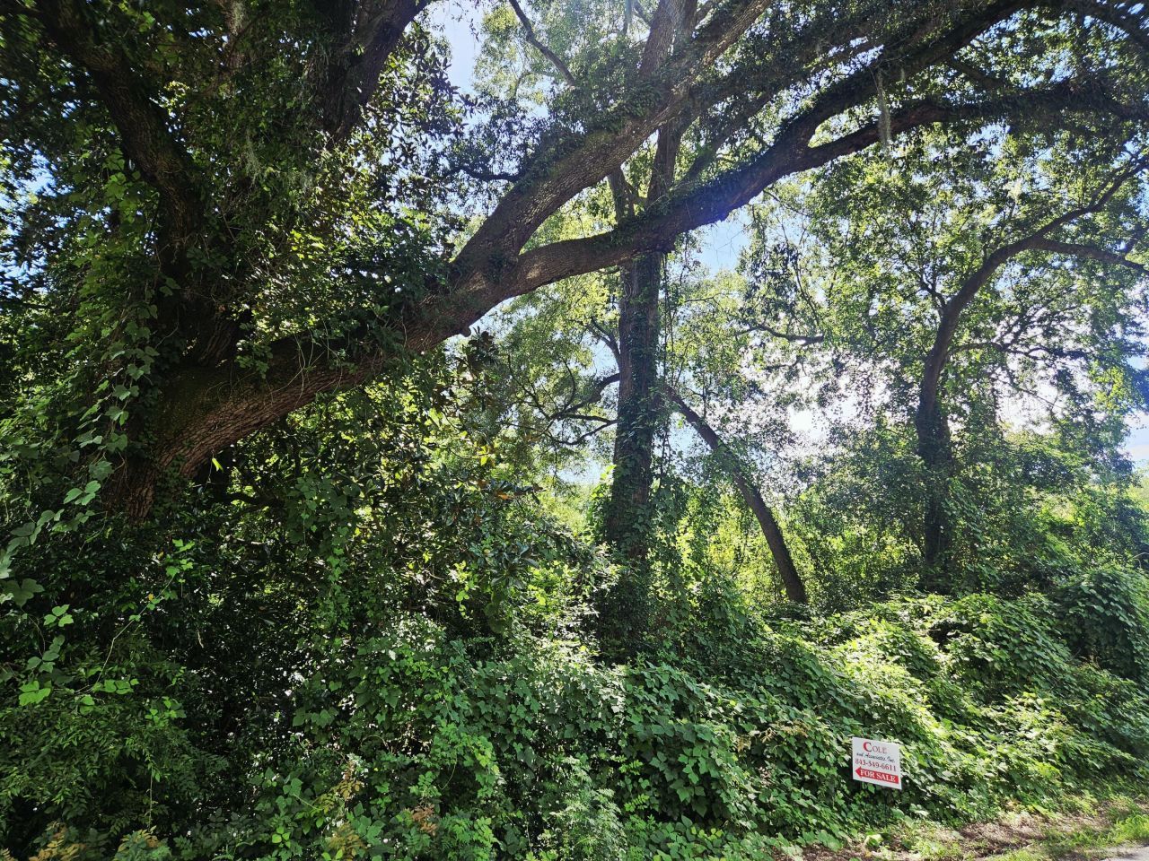 0 Chaplin Street Photo 4