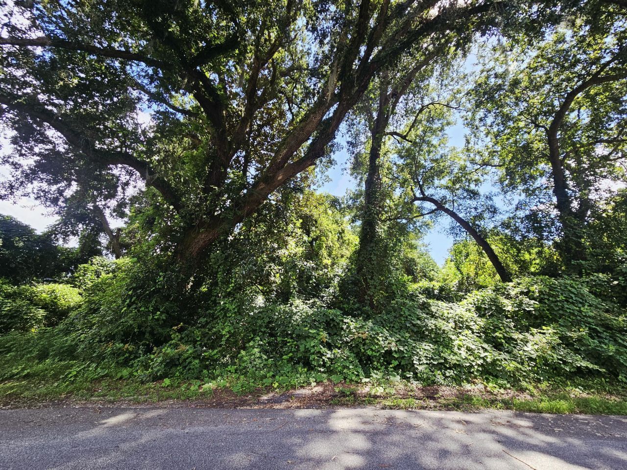 0 Chaplin Street Photo 5