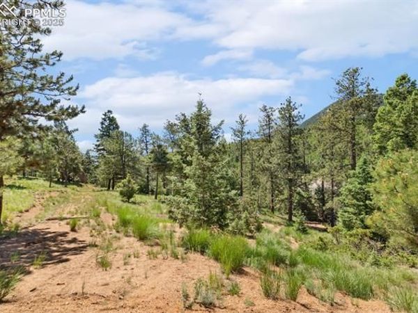 6050 Coffee Pot Road, Manitou Springs, CO 80829