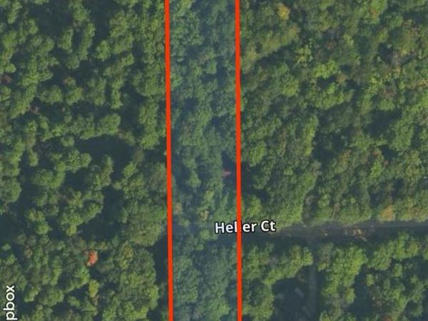 13218 NE Heller Court, Kalkaska, MI 49646