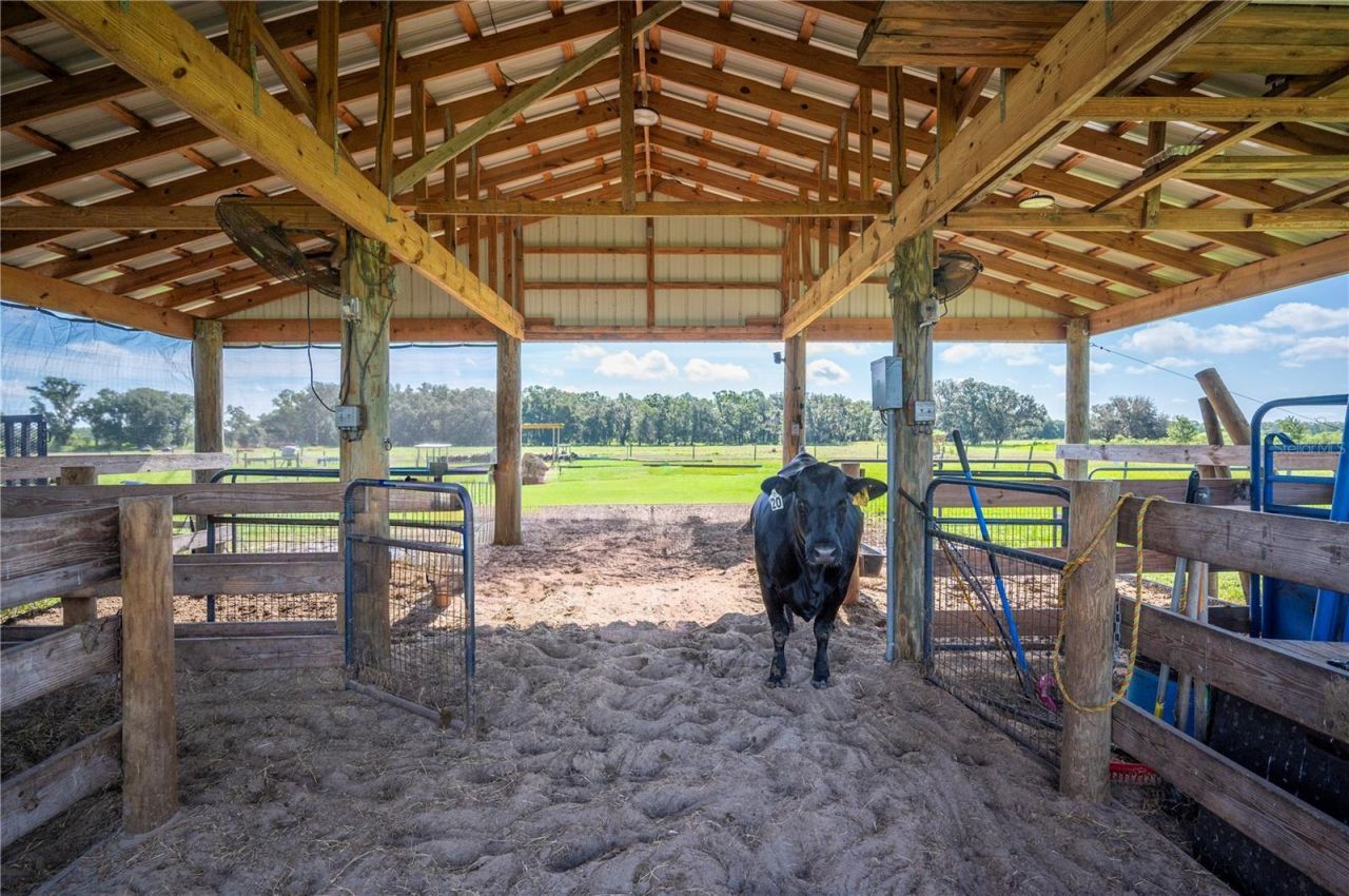 15383 Evans Ranch Road, Lakeland, FL 33809 Photo