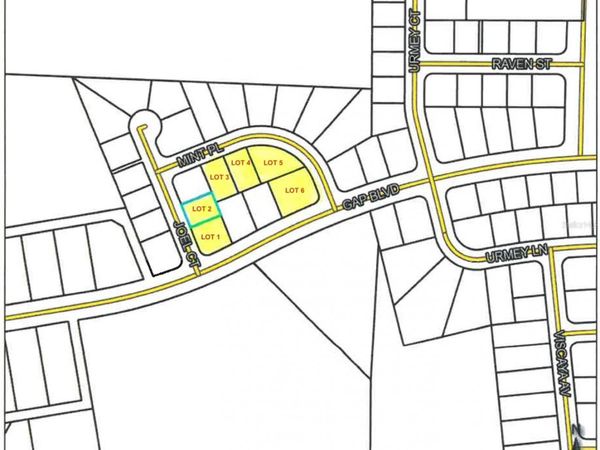 MINT PLACE, CHIPLEY, FL 32428