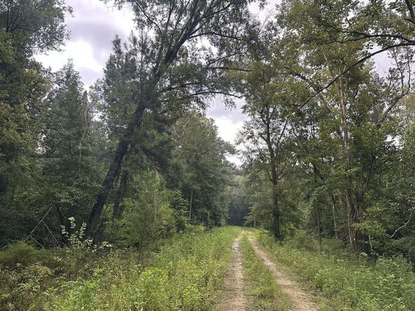 TBD CR 381, Wewahitchka, FL 32465