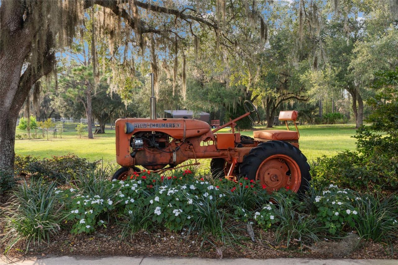 21679 SW 106th Lane Road, Dunnellon, FL 34431 Photo