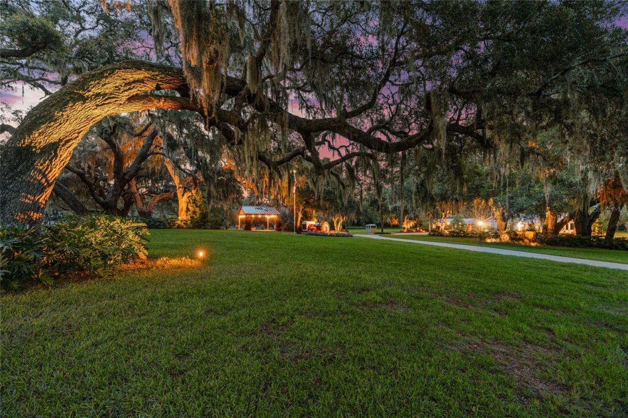 21679 SW 106th Lane Road, Dunnellon, FL 34431 Photo