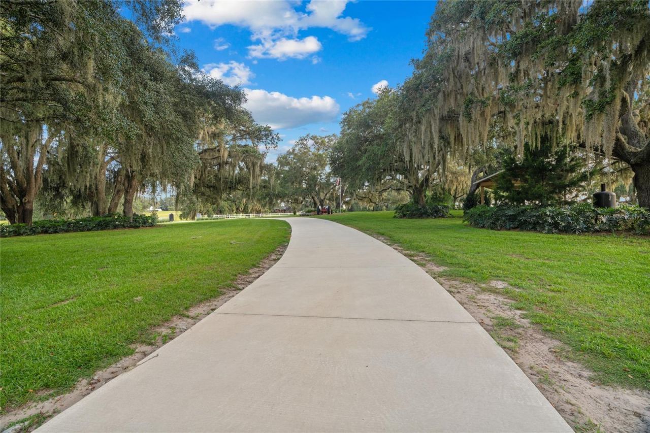 21679 SW 106th Lane Road, Dunnellon, FL 34431 Photo