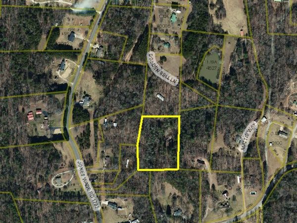 2899 Golden Bell Lane, Hudson, NC 28638