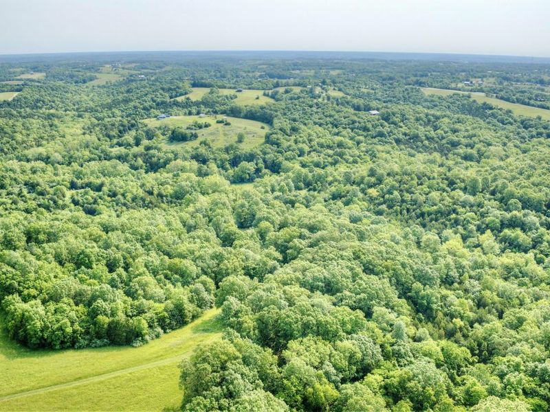 00 Peach Grove Road, California, KY 41007 Photo 12