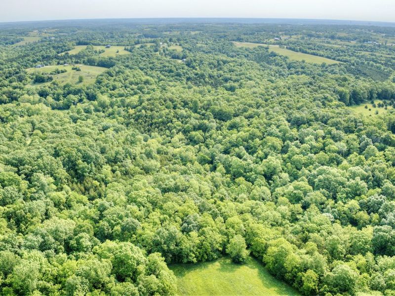 00 Peach Grove Road, California, KY 41007 Photo 13