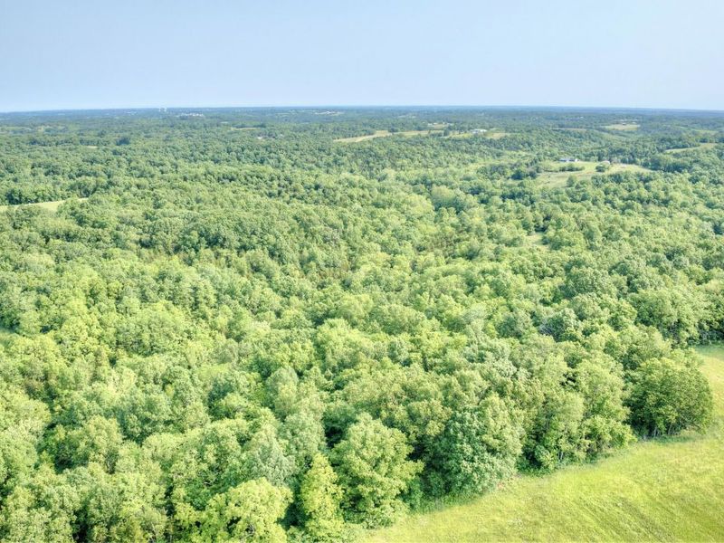 00 Peach Grove Road, California, KY 41007 Photo 17