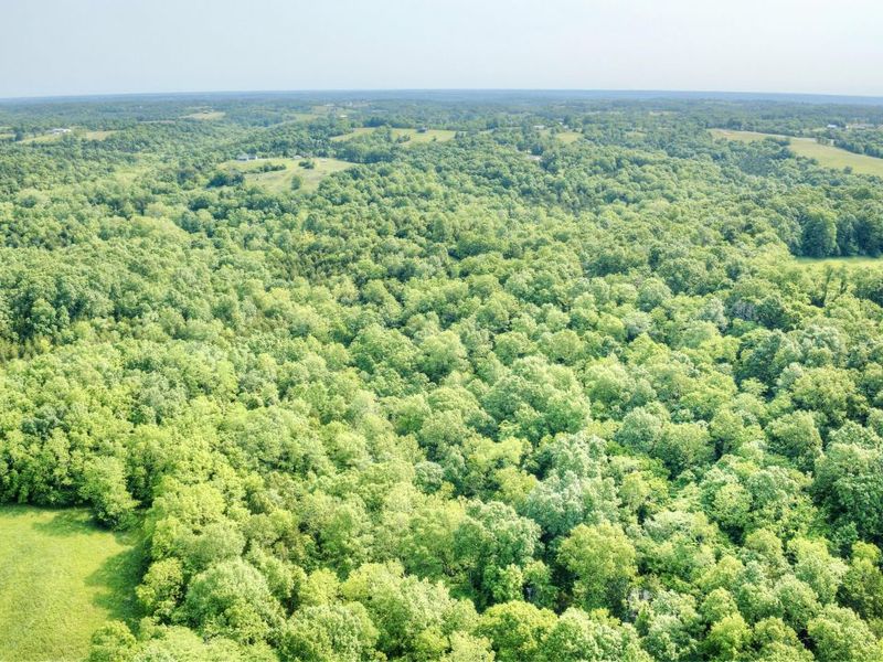 00 Peach Grove Road, California, KY 41007 Photo 2