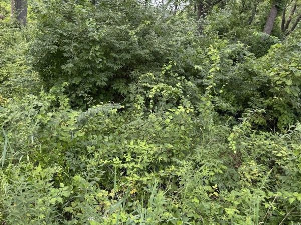 10 Chateau Drive, West Dundee, IL 60118