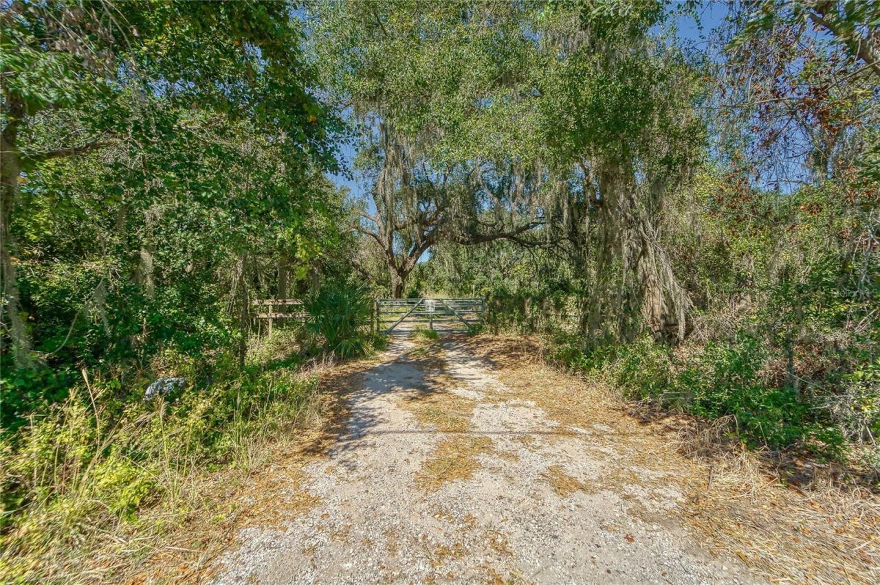 6930 Muck Pond Road, Seffner, FL 33584 Photo