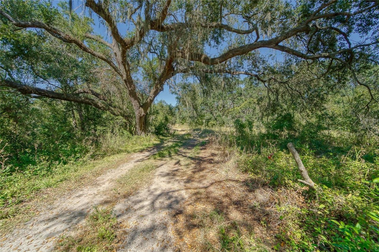 6930 Muck Pond Road, Seffner, FL 33584 Photo