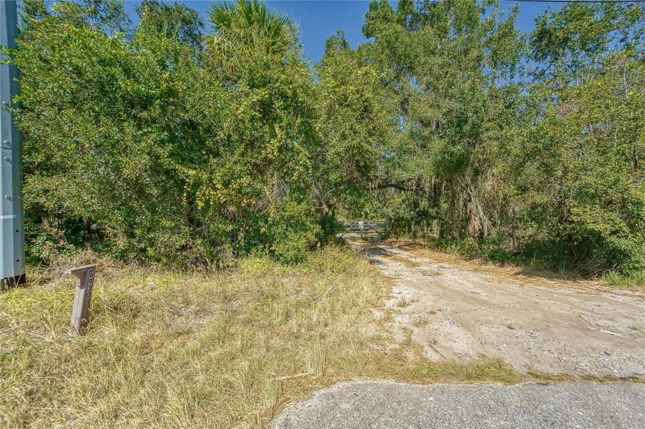 6930 Muck Pond Road, Seffner, FL 33584 Photo