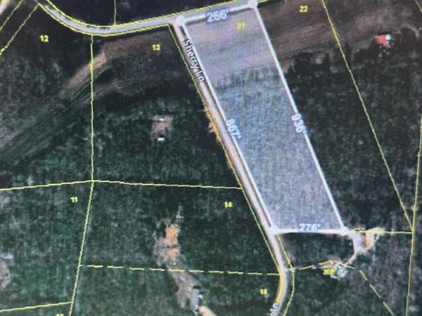 00 Lofton Road , Enville, TN 38332