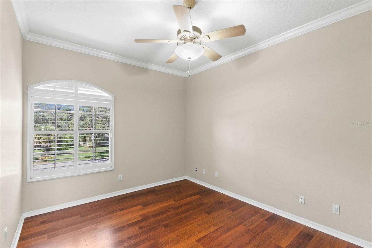 636 Bayshore Drive, Tarpon Springs, FL 34689 Photo