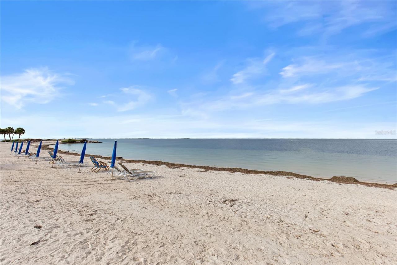 636 Bayshore Drive, Tarpon Springs, FL 34689 Photo