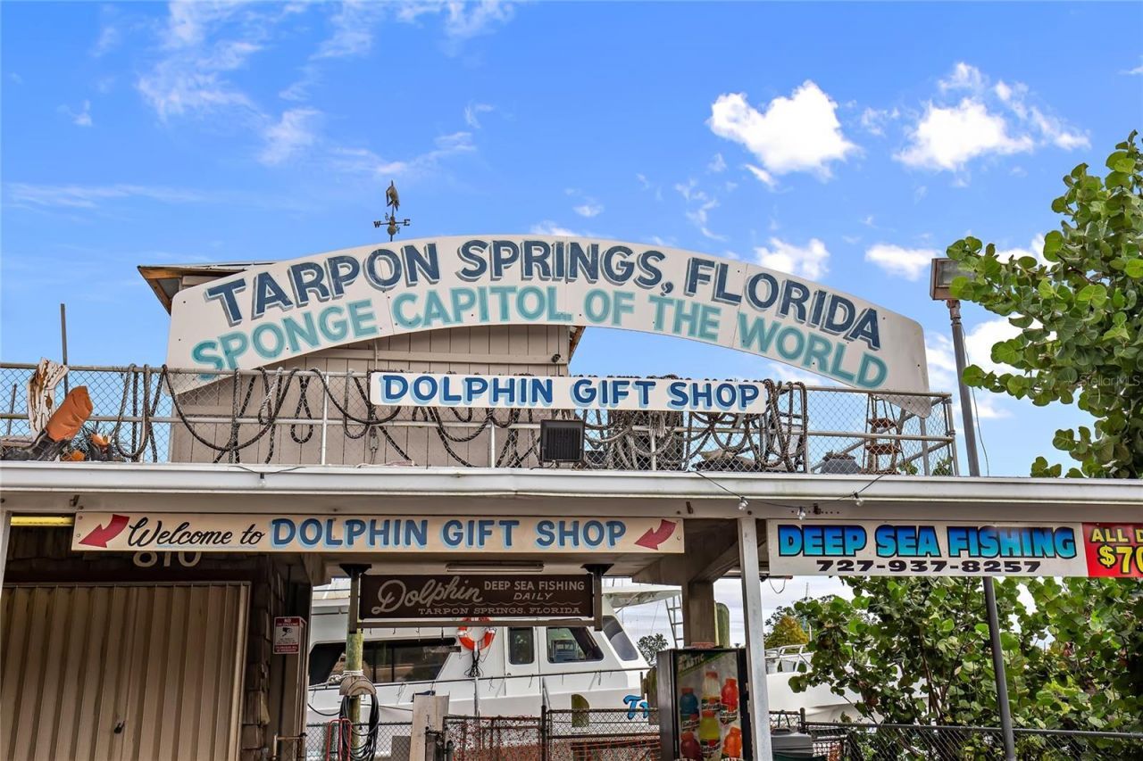 636 Bayshore Drive, Tarpon Springs, FL 34689 Photo