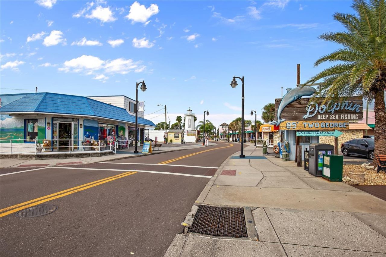 636 Bayshore Drive, Tarpon Springs, FL 34689 Photo