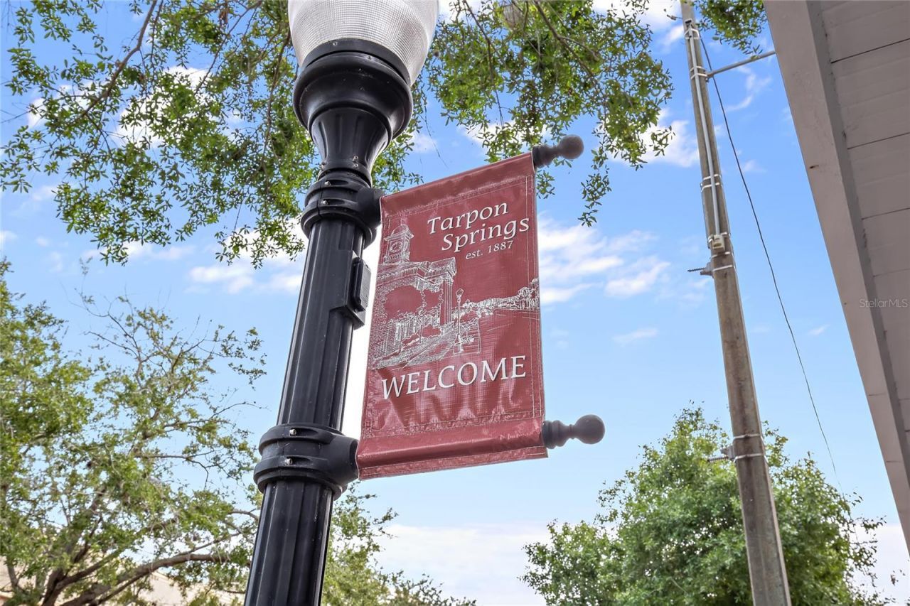 636 Bayshore Drive, Tarpon Springs, FL 34689 Photo