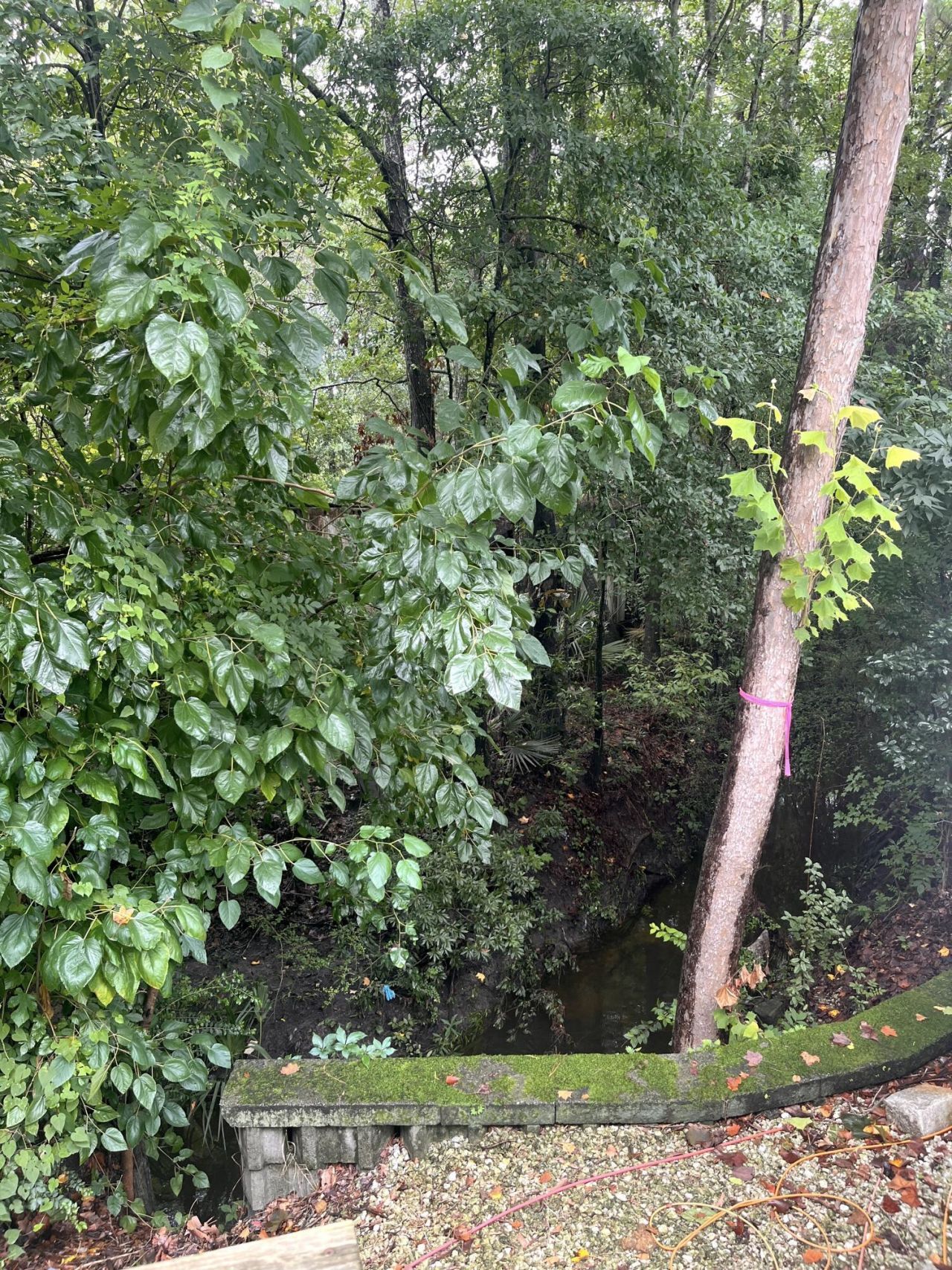 991 Rochelle Avenue Photo 13