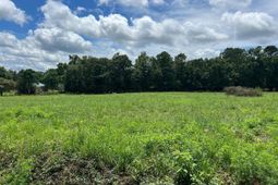 0 Hollywood Road photo 4