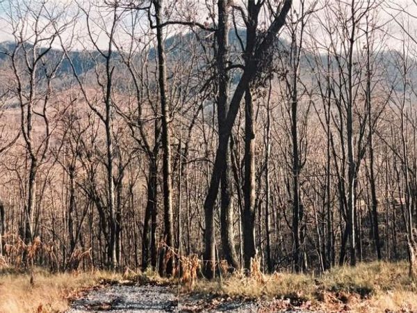 24 Anns Lane, Hayesville, NC 28904