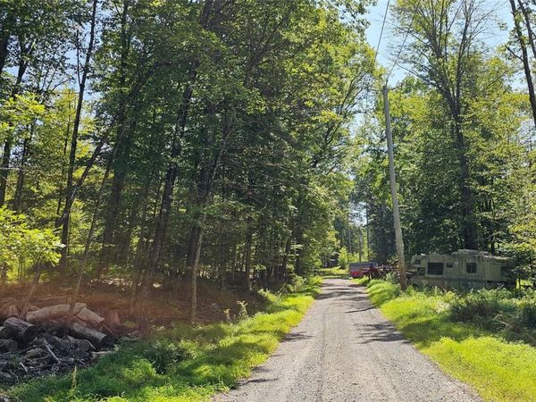 Lot 50 Deep Hollow Hill Road, Narrowsburg, NY 12764