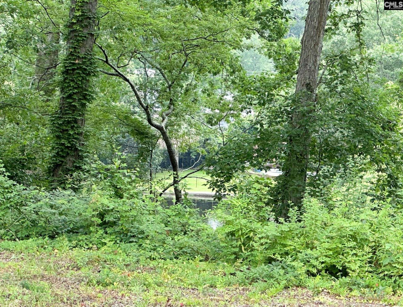 3319 Overcreek Road Photo 6