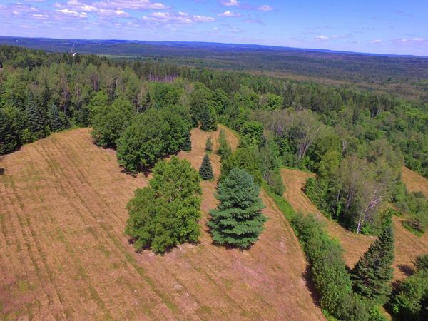 M11L114.5G New Sweden Road, New Sweden, ME 04762