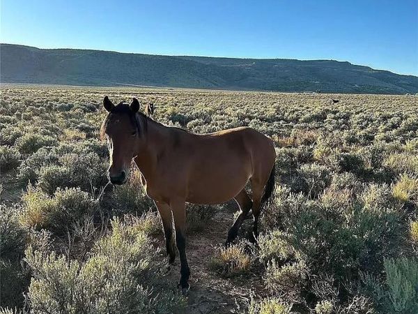 333 W Valley Drive, San Luis, CO 81152