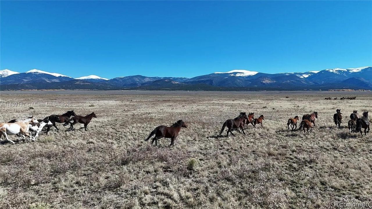 333 W Valley Drive, San Luis, CO 81152 Photo