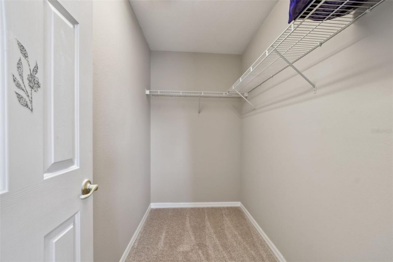 8821 N River Road, Tampa, FL 33635 Photo