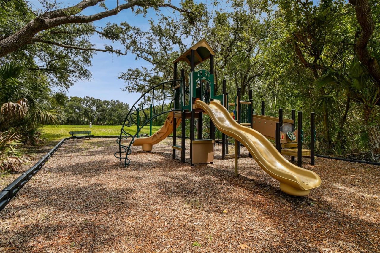 8821 N River Road, Tampa, FL 33635 Photo