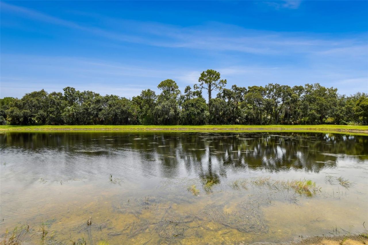 8821 N River Road, Tampa, FL 33635 Photo